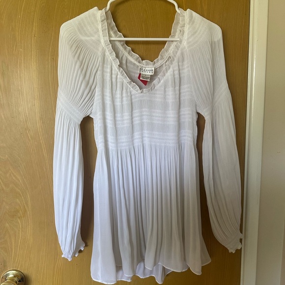 Allison Taylor Tops - Alison Taylor Flowy Bohemian white pleated cottage core long sleeved blouse